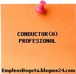CONDUCTOR(A) PROFESIONAL