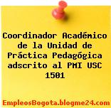 Coordinador Académico de la Unidad de Práctica Pedagógica adscrito al PMI USC 1501