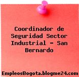 Coordinador de Seguridad Sector Industrial – San Bernardo