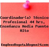 Coordinador(a) Técnico Profesional 44 hrs. Enseñanza Media Puente Alto