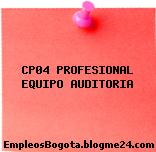 CP04 PROFESIONAL EQUIPO AUDITORIA