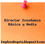 Director Enseñanza Básica y Media