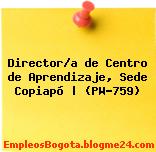 Director/a de Centro de Aprendizaje, Sede Copiapó | (PW-759)