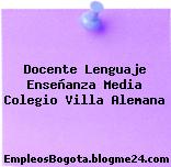 Docente Lenguaje Enseñanza Media Colegio Villa Alemana