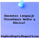 Docentes Lenguaje (Enseñanza Media y Básica)