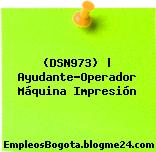 (DSN973) | Ayudante-Operador Máquina Impresión
