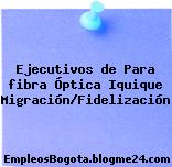Ejecutivos de Para fibra Óptica Iquique Migración/Fidelización