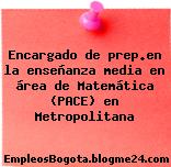 Encargado de prep.en la enseñanza media en área de Matemática (PACE) en Metropolitana