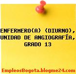 ENFERMERO(A) (DIURNO), UNIDAD DE ANGIOGRAFÍA, GRADO 13