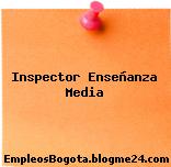 Inspector Enseñanza Media