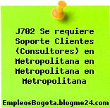J702 Se requiere Soporte Clientes (Consultores) en Metropolitana en Metropolitana en Metropolitana