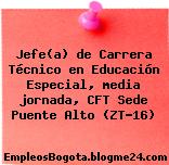 Jefe(a) de Carrera Técnico en Educación Especial, media jornada, CFT Sede Puente Alto (ZT-16)