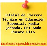 Jefe(a) de Carrera Técnico en Educación Especial, media jornada, CFT Sede Puente Alto