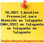 (M.202) Ejecutivo Presencial para Atención en Talagante [HWX.552] en Talagante en Talagante en Talagante