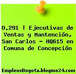 O.291 | Ejecutivas de Ventas y Mantención, San Carlos – HQ615 en Comuna de Concepción