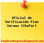 Oficial de Verificación Plan Verano (Chofer)