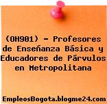 (OH901) – Profesores de Enseñanza Básica y Educadores de Párvulos en Metropolitana