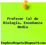 Profesor (a) de Biología, Enseñanza Media