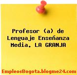 Profesor (a) de Lenguaje Enseñanza Media. LA GRANJA