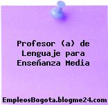 Profesor (a) de Lenguaje para Enseñanza Media