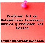 Profesor (a) de Matemáticas Enseñanza Básica y Profesor (a) Básica