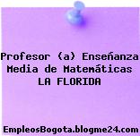 Profesor (a) Enseñanza Media de Matemáticas LA FLORIDA