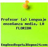 Profesor (a) Lenguaje enseñanza media, LA FLORIDA