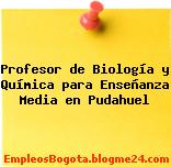 Profesor de Biología y Química para Enseñanza Media en Pudahuel