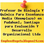 Profesor De Biología Y Química Para Enseñanza Media (Reemplazo) en Pudahuel, Santiago para Evaluación Y Desarrollo Organizacional Ltda