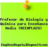 Profesor de Biología y Química para Enseñanza Media (REEMPLAZO)