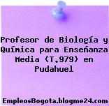 Profesor de Biología y Química para Enseñanza Media (T.979) en Pudahuel