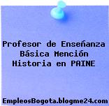 Profesor de Enseñanza Básica Mención Historia en PAINE