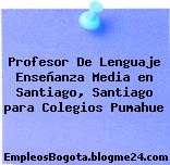 Profesor De Lenguaje Enseñanza Media en Santiago, Santiago para Colegios Pumahue