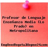 Profesor de Lenguaje Enseñanza Media (Lo Prado) en Metropolitana