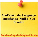 Profesor de Lenguaje Enseñanza Media (Lo Prado)
