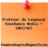 Profesor de Lenguaje Enseñanza Media – (MKI742)