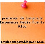 profesor de Lenguaje Enseñanza Media Puente Alto