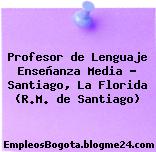 Profesor de Lenguaje Enseñanza Media – Santiago, La Florida (R.M. de Santiago)