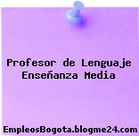 Profesor de Lenguaje Enseñanza Media