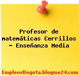 Profesor de matemáticas Cerrillos – Enseñanza Media