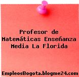Profesor de Matemáticas Enseñanza Media La Florida