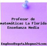 Profesor de matemáticas La Florida Enseñanza Media