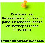 Profesor de Matemáticas y Física para Enseñanza Media en Metropolitana [TJS-803]
