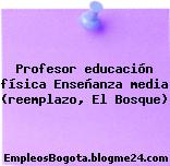 Profesor educación física Enseñanza media (reemplazo, El Bosque)