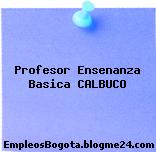 Profesor Ensenanza Basica CALBUCO
