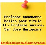 Profesor ensenanza basica post titulo TEL, Profesor musica, San Jose Mariquina