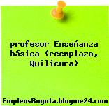 profesor Enseñanza básica (reemplazo, Quilicura)
