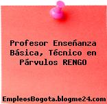 Profesor Enseñanza Básica, Técnico en Párvulos RENGO