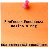 Profesor Ensenanza Basica v reg