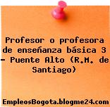 Profesor o profesora de enseñanza básica 3 – Puente Alto (R.M. de Santiago)